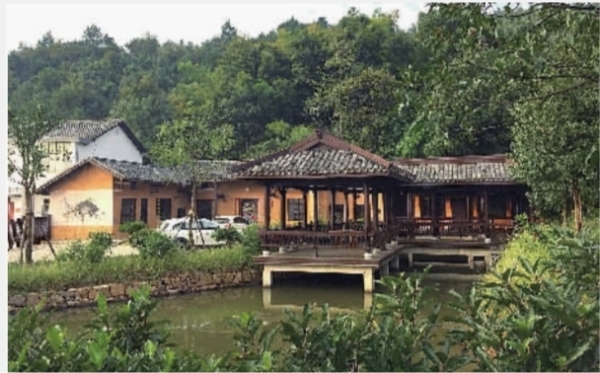 从“看风景”到“过生活”从“单点打卡”到“全链驱动”—赏花经济激活一池春水(图1)